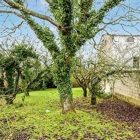 Cozy In With Wifi Сasa de vacaciones