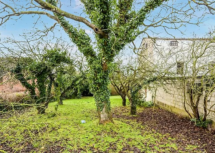 Cozy In With Wifi Holiday home